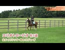 【競馬部ツアー2024①】ゴールドシップにコガネノソラ、コラソンビート！お疲れ様でした　マイネルファンロン　★ビッグレッドファーム編