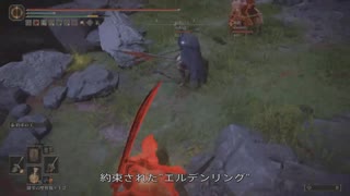 エルデンリング TMCターニッシュドメイクライ侵入Part 188