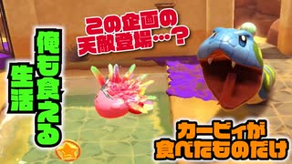 カービィが食べたものしか現実で食べられない生活 23日目【星のカービィ ディスカバリー】
