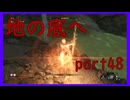 【SEKIRO】友人に勧められたゲームを完全初見でやってみた　part48　地の底へ