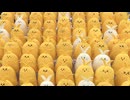 マキ誕が始まってぎゅんぎゅんしてるけだまき