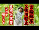 ブラジルでのX禁止デモ！本当は何がおこっているの？