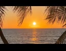 Sunrise in the Tropics
