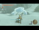 【ティアキン】ヘブラ山西岳北のガチロック　ゼルダの伝説ティアーズオブザキングダム #ゼルダの伝説 #ティアキン #zelda