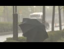 台風接近で暴風警報発表中に児童・生徒を登校→すぐ下校の福岡市　福岡地方が「暴風域」「強風域」に入る見込みで一斉休校に