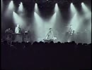 P-MODEL - 非局所性LIVE [VHS, 1997]