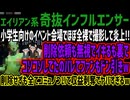 【奇抜インフルエンサー】小学生向けのイベント会場でほぼ全⚪︎で撮影して炎上!!削除依頼も無視でイキるも裏でコソコソしてたのバレてファンもドン引きw削除せずも全てコミュノついて収益剥奪でヤバすぎるw
