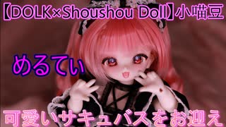 【DOLK×Shoushou Doll】小さなサキュバスをお迎えしました【小喵豆 めるてぃ】