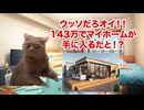 【コンテナハウス】激狭物件のリアルな実態！？143万円で買える悪夢のマイホーム #猫マニ #猫ミーム
