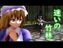 【第16回東方ニコ童祭】迷いの竹林　後編【東方MMD】