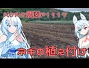 2024年9月13日　農作業日誌P1117　じめっとした天気の中でもネギの植え付けを終わらせる