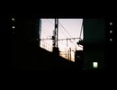 夜香木