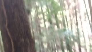 強盗王モンキーⅮルフィが殴られて地獄に落ちる動画　力が抜けるほど安堵する