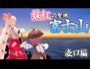 【第16回東方ニコ童祭】 妹紅の聖地 富士山に登ってみた 富士宮編  【東方聖地巡礼】