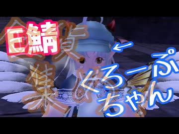 【MasterofEpic】E鯖で金貨を集める！【声実況】