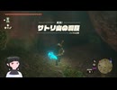 【ゼルダの伝説】周回遅れのティアキン Part146【TotK】