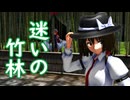 【第16回東方ニコ童祭】迷いの竹林　フルver.（ボイスあり）【東方MMD】