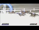 2024年8月15日門別競馬9R ＪＲＡ認定ウィナーズチャレンジ４ レース回顧