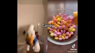 ドナルドダックのTikTokモーメント