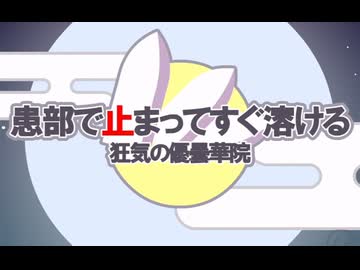 【東方MV】患部で止まってすぐ溶ける～狂気の優曇華院【IOSYS】