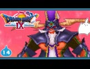 【DQ9＊実況】全力で守るために初見で大冒険！第十四章