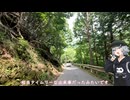 【ヤビツ峠】唯一走り慣れた峠に惨敗してきました【Cevio車載】