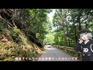 【ヤビツ峠】唯一走り慣れた峠に惨敗してきました【Cevio車載】