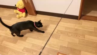 深夜のせんせい□