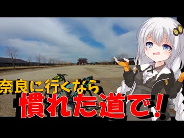 走る☆衛生兵　紲星あかり【BRM305近畿200km近江八幡 奈良ならば】