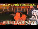 【オカシラ連合戦闘集】デスしたらイクバイト騎士クロワちゃん＃１８.３３【キケン度MAX】【グランドバンカラアリーナ】【サーモンランNW】【ナイスかえさないチノ】
