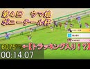 【ウマ娘ルムマ動画】第４回 ポニーテール杯 '24（ウマ娘ｽﾋﾟｰﾄﾞﾒｰﾀｰ試験導入）