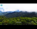 【中国国家公园系列】海南熱帯雨林国家公園 China National Parks: Hainan Tropical Forest NP