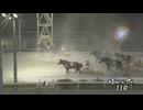 2024年8月19日帯広競馬11R ＪＲＡジョッキーＤＡＹ特別(A2-1) ダイリンファイター