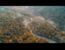 【中国国家公園系列】東北虎豹国家公園 China National Parks: Northeast Tiger and Leopard NP