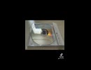 七つのふしぎの終わるとき