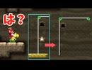 チョロプーお前さぁ、、【マリオWii実況】♯18