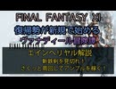 【FF11】エインヘリヤル解説　斬鉄剣を見切れ！さくっと周回してアンブルを稼ぐ！