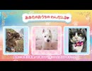 わんだふるぷりきゅあ！ あなたのおうちのわんだふる♥31〜33