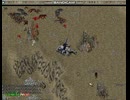 【UO】【MIZUHO】PSC回し～誰か来るかなー＾＾⑤