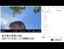 【実験機能の左右反転を使用】ユキちゃん「秋刀魚の季節にBBQ」２枠目【2024/9/15】