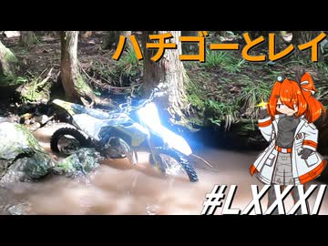 第3回宍粟・道谷フリーライド～ハチゴーとレイ(その81)