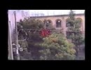 ホモ通信