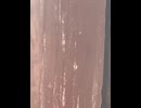 74815325736__A236C1FF-71E3-4DC0-9DC4-DF519F12BA66