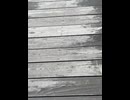 74815337011__3D774F4D-7FE9-4355-A6B1-628DFC36F9F7