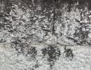 74815368137__B540E348-5D97-4DFC-AF49-7A572412D919