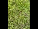 74815561767__523E3C62-3439-49D4-B37B-9F7D309BCF26