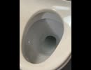 74815720693__7B2D08A7-A623-4731-A9B9-8AF2740EB5D5