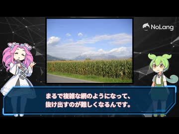 【NoLang】「人が嘘を重ねる理由」を四国めたんとずんだもんが解説