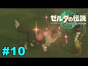 【ゆっくり実況】ティアキンぜんぶやる #10