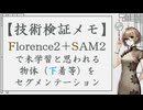 技術検証メモ：Florence2＋SAM2で未学習と思われる物体（下着等）をセグメンテーション